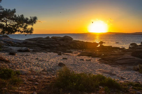 西班牙加利西亚Arousa岛Carreiron自然公园金色落日下的海滩和岩石 — 图库照片