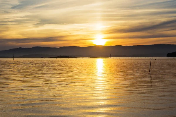 Golden Sunset Calm Sea Arousa Estuary Vilagarcia Arousa Galicia Spain — Stock Photo, Image