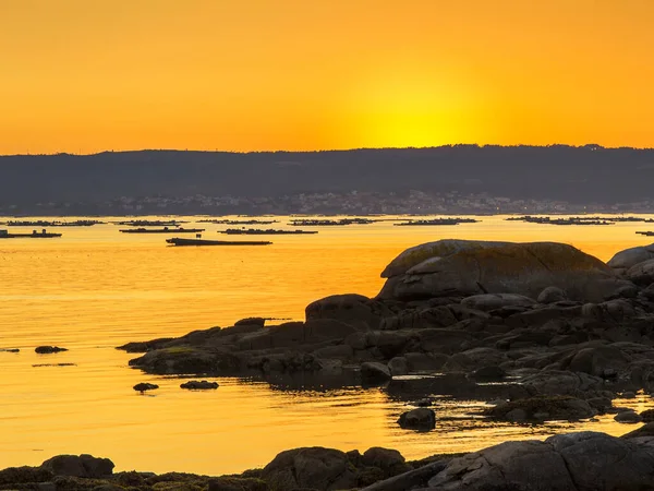 Plavidla Pro Chov Mušlí Ústí Řeky Arousa Soumraku — Stock fotografie