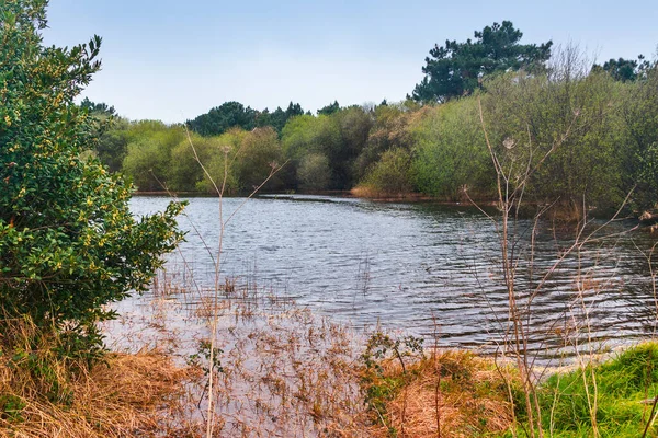 Sezonowa Laguna Espineiro Wyspie Arousa — Zdjęcie stockowe