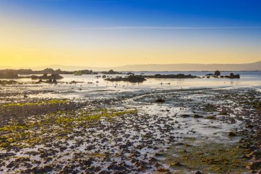 Espineiro plajı, Arousa Adası 'nda, sular çekildiğinde.