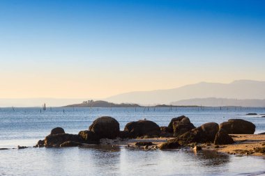 Arousa 'daki Malveiras adaları ahşap direkleriyle denizden yükselen istiridye yavrularına dikkat çekiyor.