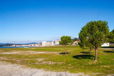 Arka planda Carril köyü olan Compostela plaj parkında çam ağaçları ve çimenler.