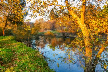 Ponte Arnelas, Vilanova de Arousa kasabasındaki Umia nehrinde ağaçlar ve çimenler