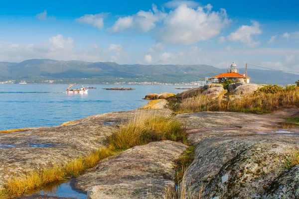 arousa