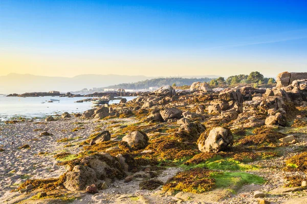 Pobřežní Skály Při Odlivu Pláži Espineiro Ostrově Arousa Večer — Stock fotografie