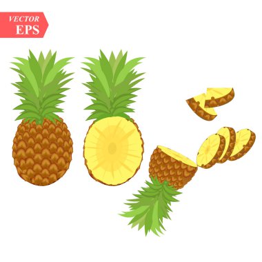 Olgun ananas dilimleri beyaz arka plan üzerinde izole ile. Vektör çizim dekoratif afiş, amblem doğal ürün, çiftçi pazarı için. Kozmetik ve gıda ambalaj tasarımı için mükemmel.