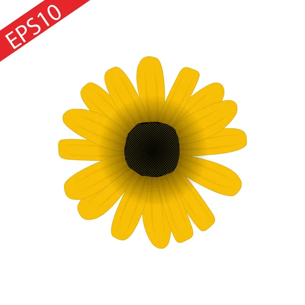 Ditsy Sun Flower Blommig Line Ikonen Koncept Blommig Blomma Platt — Stock vektor