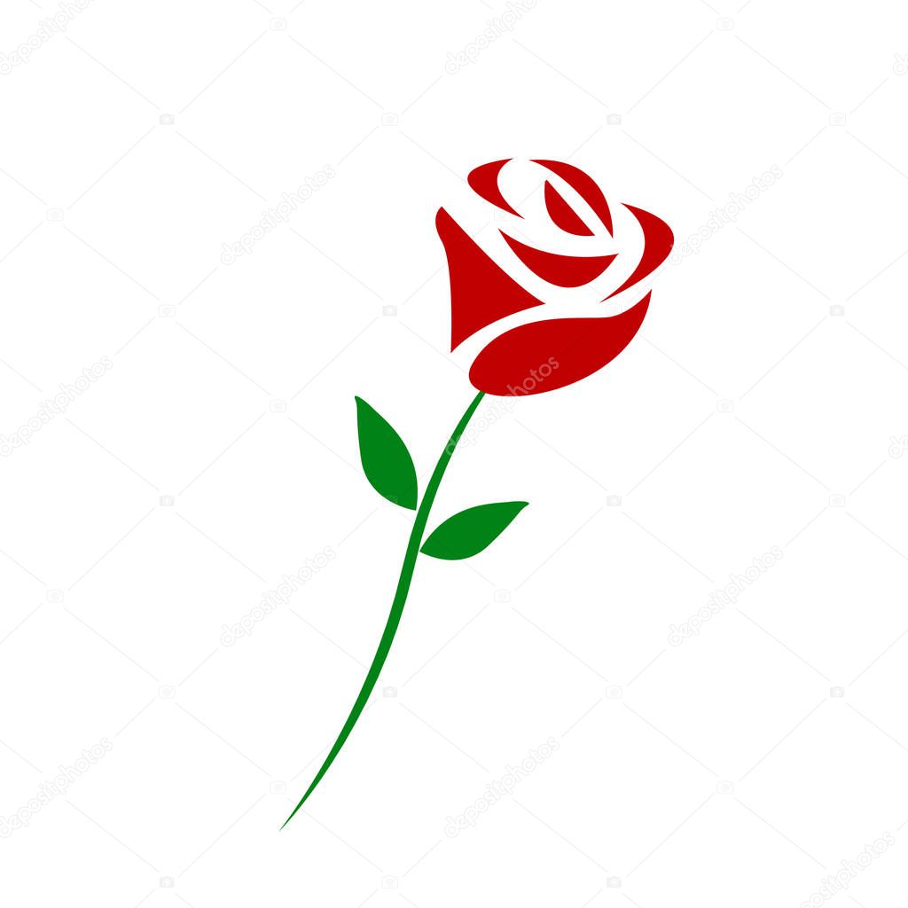 Vector branch of red roses isolated on a white background. eps10