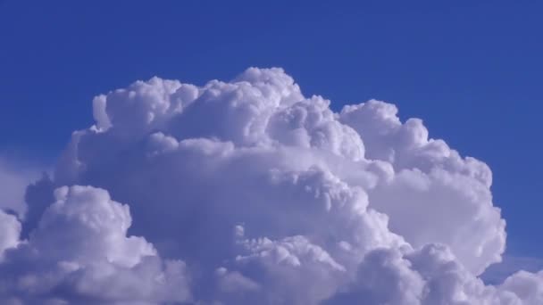 Nuvens Brancas Rolando Sobre Céu Azul Full Vídeo — Vídeo de Stock