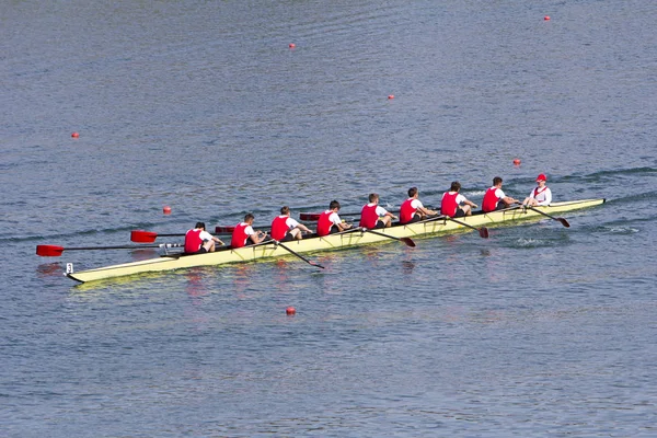 在八个桨划着小船在平静的湖面上划船 — 图库照片