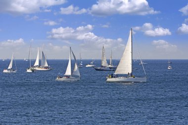Bir sık sık büyük yelken tekne regata dünya, Barcolana, Trieste regatt içinde