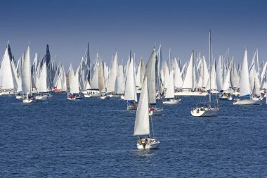 Bir sık sık büyük yelken tekne regata dünya, Barcolana, Trieste regatt içinde