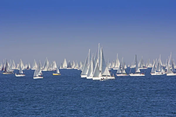 Ofta Största Segel Båt Regata Den Världen Barcolana Trieste Regatt — Stockfoto