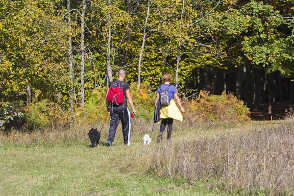 Jovens Casais Estão Caminhando Pela Floresta Com Seus Cães Estimação — Fotografia de Stock