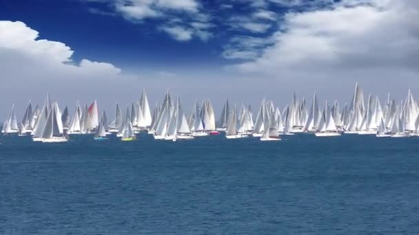 Barcolana Regatta Yelkenli Tekne Yarışı Trieste Körfezi Talya Tam Video — Stok video
