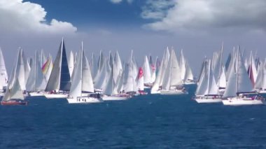 Barcolana Regatta, Yelkenli tekne yarışı Trieste Körfezi, İtalya, tam Hd video