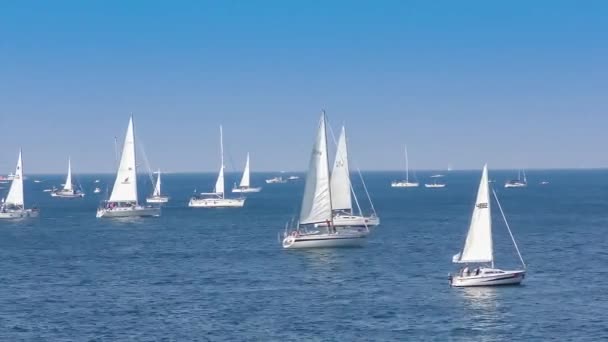 Regata Barcolana Corsa Barca Vela Nel Golfo Trieste — Video Stock