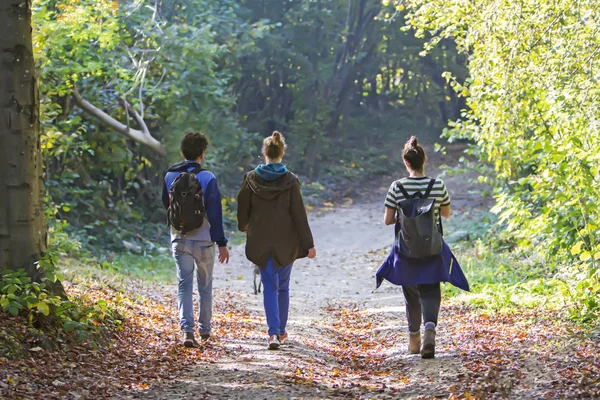 Young people walking on path in the forest