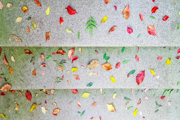 Autumn leaves on concrete stairs as backgrounds — Stock Photo, Image