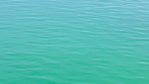 年轻女子运动员赛艇 慢动作全高清视频 — 图库视频影像