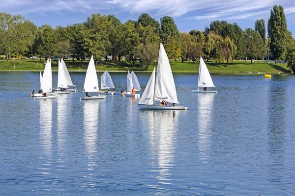 Small Sailing Ships Regatta Blue Lake — Stock Photo, Image