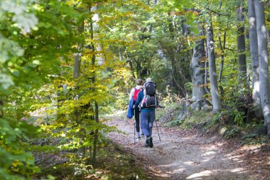 Sonbahar ormanının içinde iz hiking tarafından yürüyüş bebek genç çift