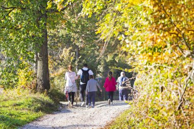 Bir grup insan tarafından hiking trail sonbahar ormanının içinde yürüyüş