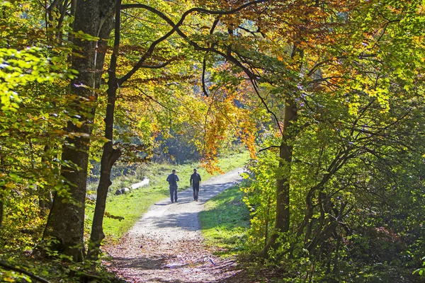 在秋天的小道上 两个人走在徒步小道旁 — 图库照片