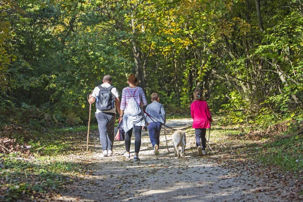 在秋天的森林里 带着孩子和狗在徒步旅行的小道上散步的夫妇 — 图库照片