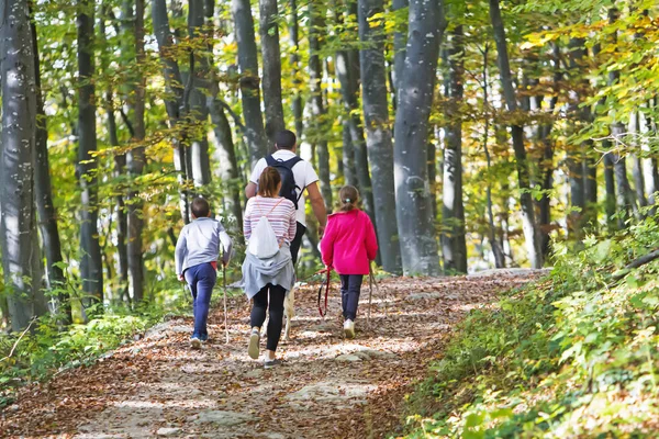 在秋天的小道上 带着孩子和狗散步的夫妇 — 图库照片