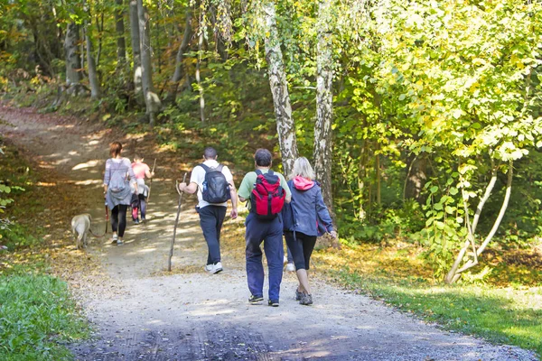 在秋天的森林里 一群人走在徒步小道旁 — 图库照片