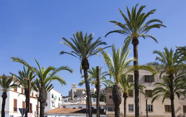 Ibiza cidade de Eivissa com a catedral e cidade velha — Fotografia de Stock