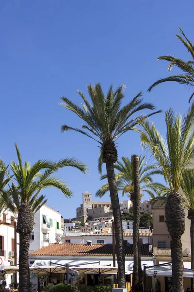 Ibiza stad av Eivissa med katedralen och gamla stan — Stockfoto