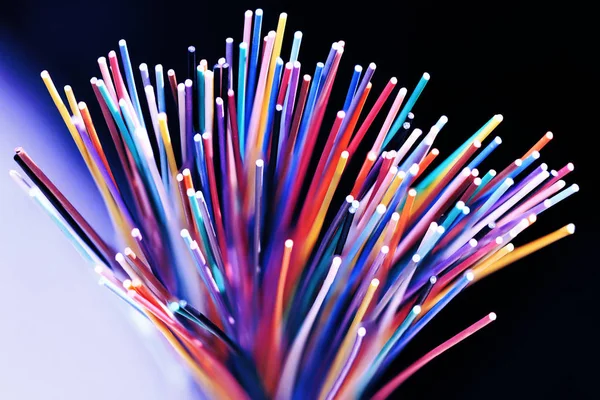 Fiber optisk nätverks kabel närbild — Stockfoto