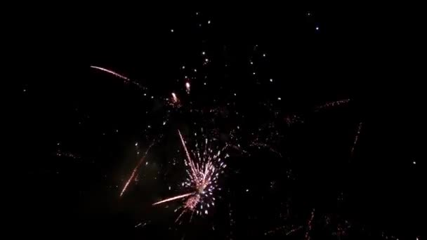Gros feux d'artifice dans le ciel nocturne d'été, vidéo Full HD 