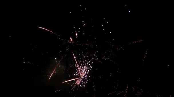 Großes Feuerwerk Der Nacht Sommerhimmel Full Video — Stockvideo