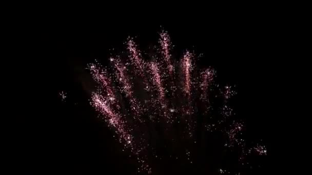 Grandes Fogos Artifício Céu Verão Noite Full Vídeo — Vídeo de Stock