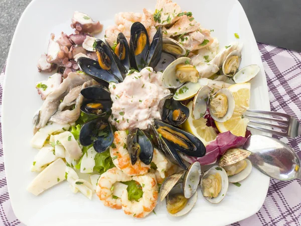 海鲜贝壳贝类作为冷开胃菜 — 图库照片
