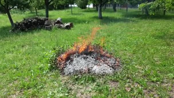 Rök Och Eld Från Vid Förbränning Trädgårdsavfall Full Video — Stockvideo