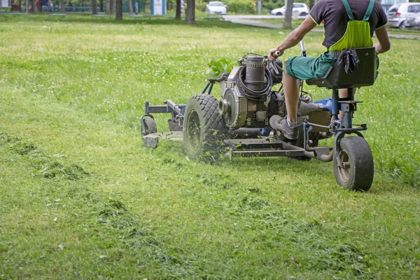 Trabalhador cortando grama em um parque da cidade — Fotografia de Stock