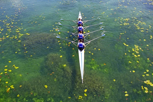 Équipe masculine quadruple aviron sur l'eau verte — Photo