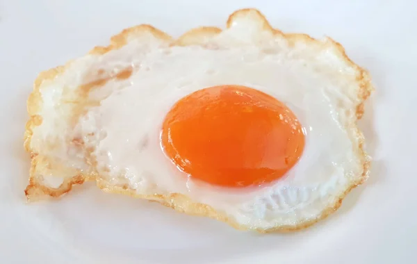 Fried egg on a white plate