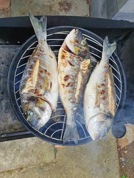 Grillezett Aranyfejű Tengeri Durbincs Dorada Grillen — Stock Fotó