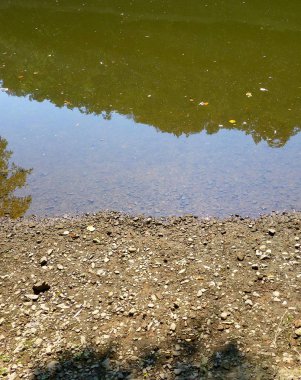 Kir ve bulanık Nehri yanındaki taş yapılmış bir nehir banka fotoğrafı