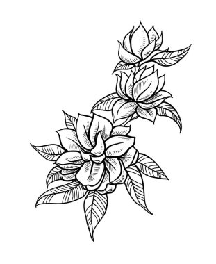 Çeviri: nazo82 Shagrathian