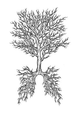 Çeviri: nazo82 Shagrathian