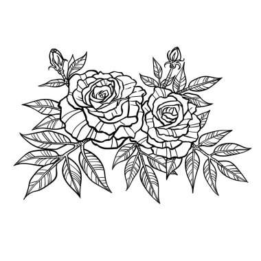 Çeviri: nazo82 Shagrathian