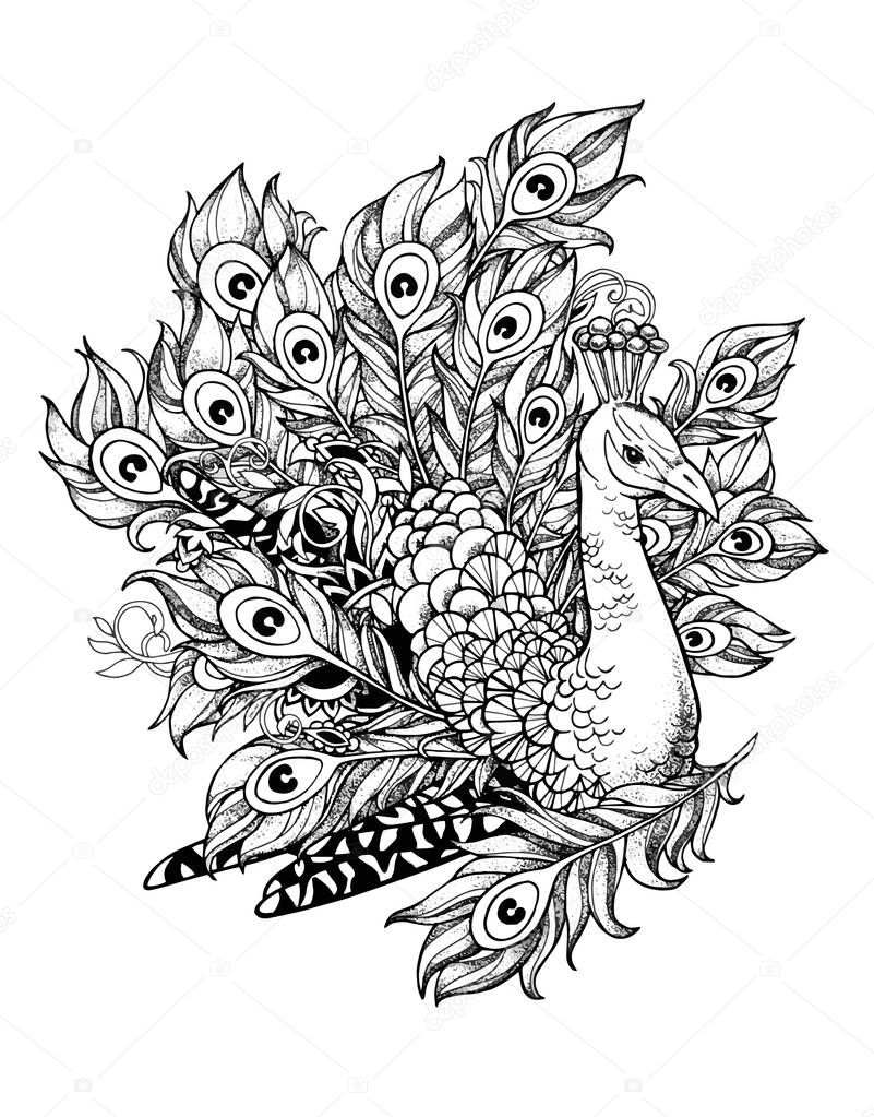 Stylish vector illustration of peacock. Drawing made for tattoo or print on t-shirt
