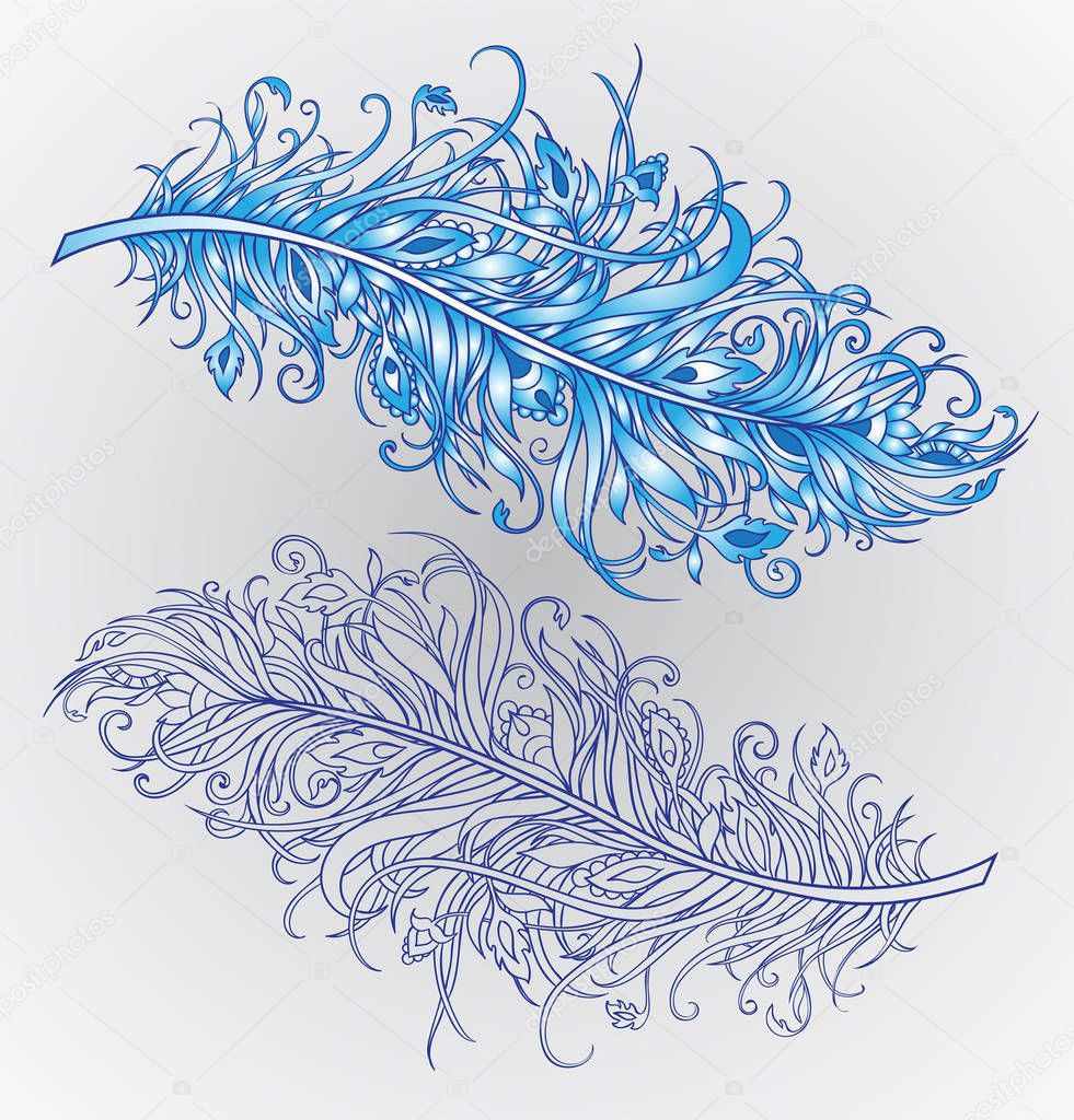 Colorful vector background with feathers 